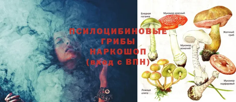 blacksprut ссылки  Ивантеевка  Псилоцибиновые грибы Psilocybine cubensis 